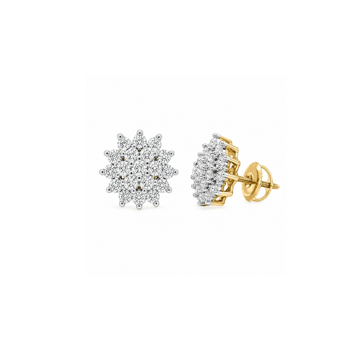 Customizable Nakshastra Earring